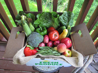 Small box of fruit and produce